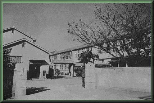 1965N̍Z