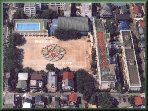 n40N(1995N)̍qʐ^