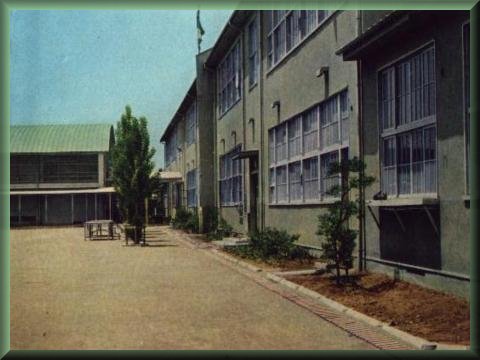 1965N̓Z