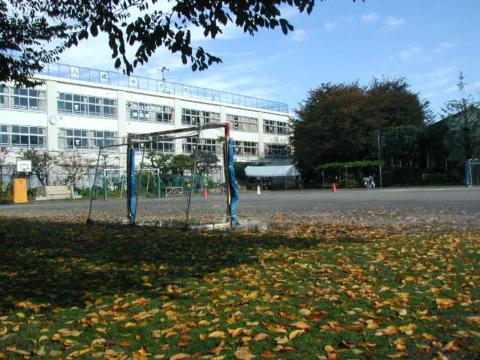 33. 2005N1112 