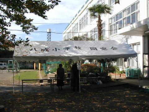 34. 2005N1112 