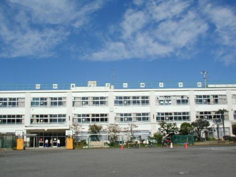 36. 2005N1112 
