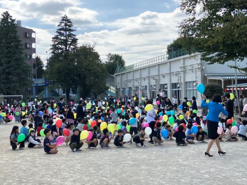 05. 2025�N10��10�� 