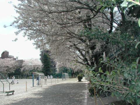J̍S(2002N324)