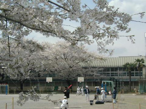 J̍U(2002N324)