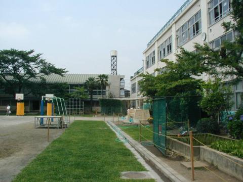 ŐP(2002N61)
