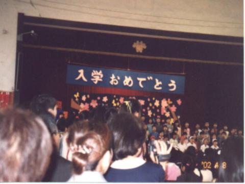 wP(2002N48)